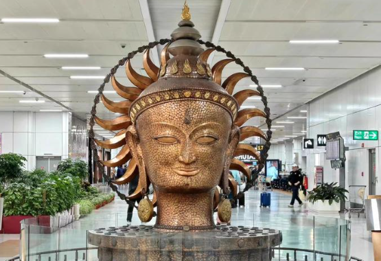 跨越山海，匠心服务——NCA工程师印度服务纪实